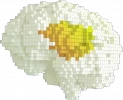 signal-2025-06-20-140536_011